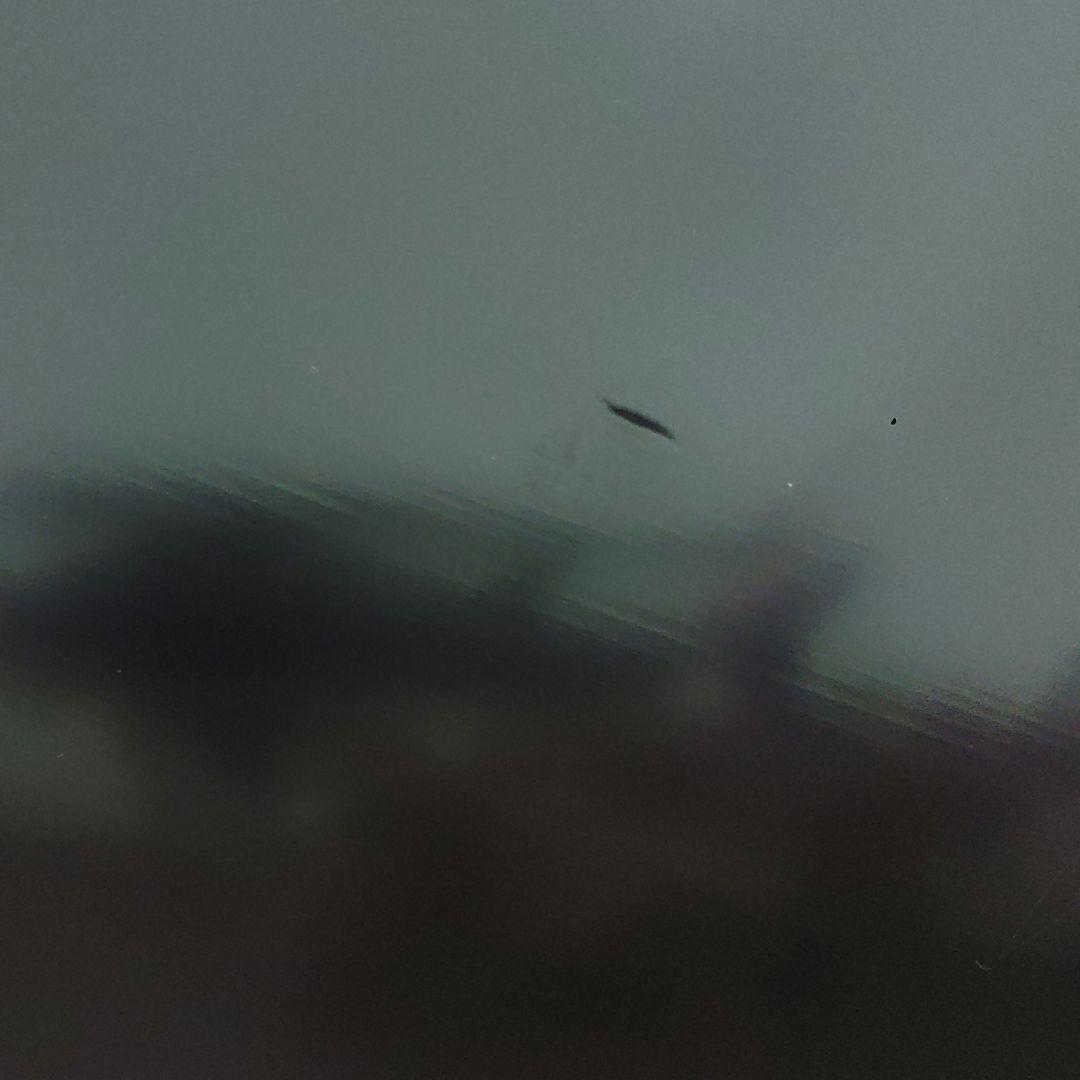 茶櫃　角茶櫃　津軽塗　金虫喰塗　木製　漆器　漆塗　コ上