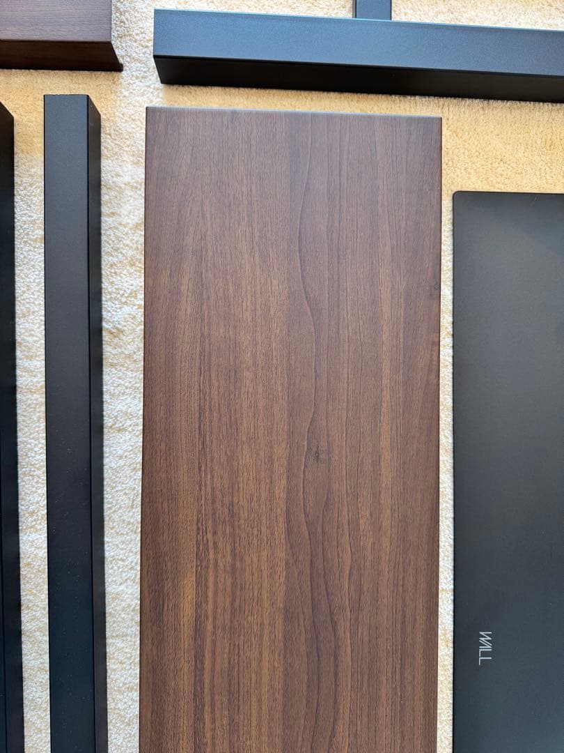 M*I様 【美品】WALL V3 ハイタイプ SW (首振りタイプ) 2025年