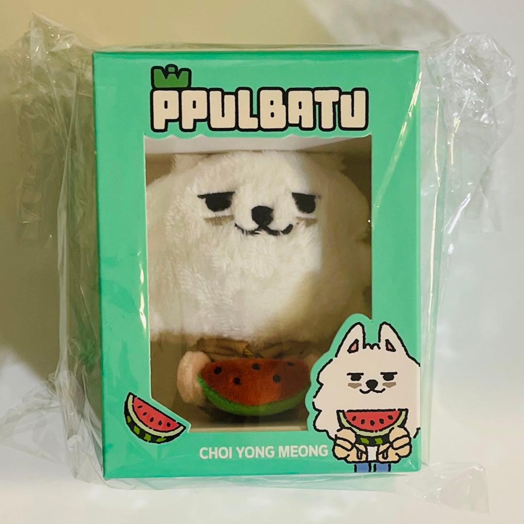 プルバトゥ　プラッシュキーリング コンプ 5個　スイカ　未開封　TXT