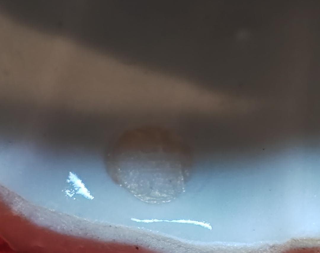 送料込【逢絢亭】茶道具 蓋置 九谷焼 菊の形 矢口永寿 共箱入り