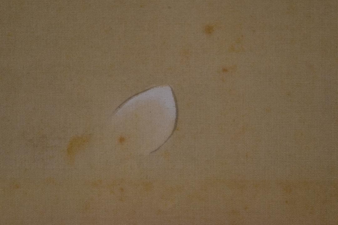 【真作】川北霞峰/春景山水図/田家図/掛軸☆宝船☆Z-671