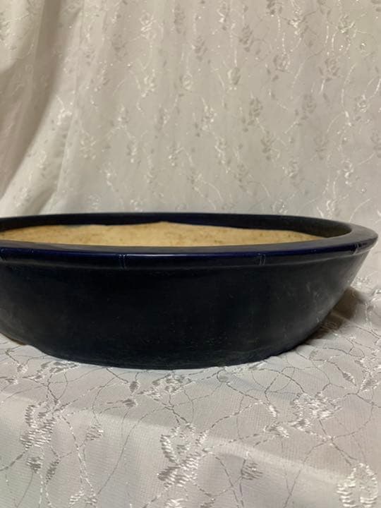 鴻陽　大きめ鉢