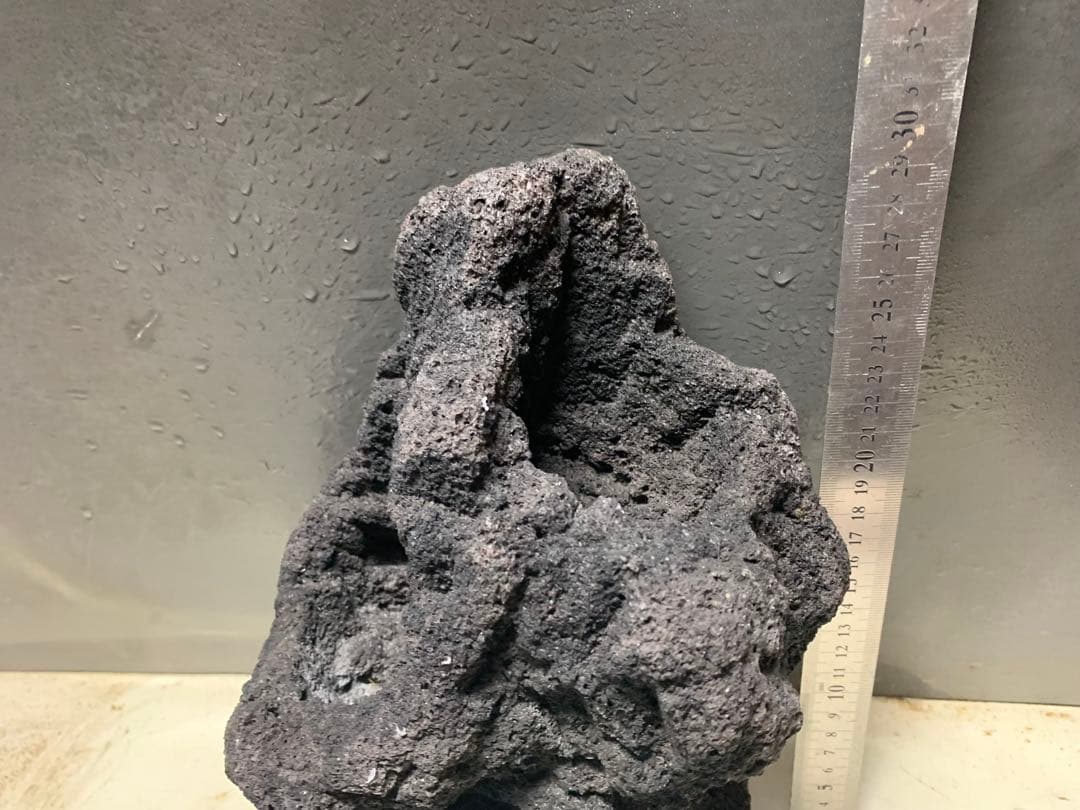 2[絶版]ADA雲山石3.5キロ★穴3個　水槽　レイアウト　アクアリウム　60