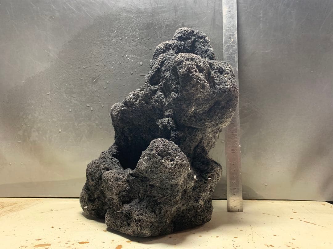 2[絶版]ADA雲山石3.5キロ★穴3個　水槽　レイアウト　アクアリウム　60