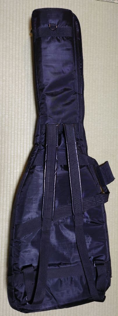 ESP AP-SL5 5弦ベース ESP純正ソフトケース(GIG BAG)付き