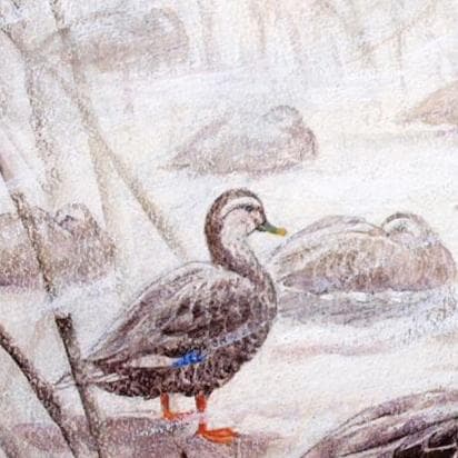 絵画「凍てつく朝」　水彩画