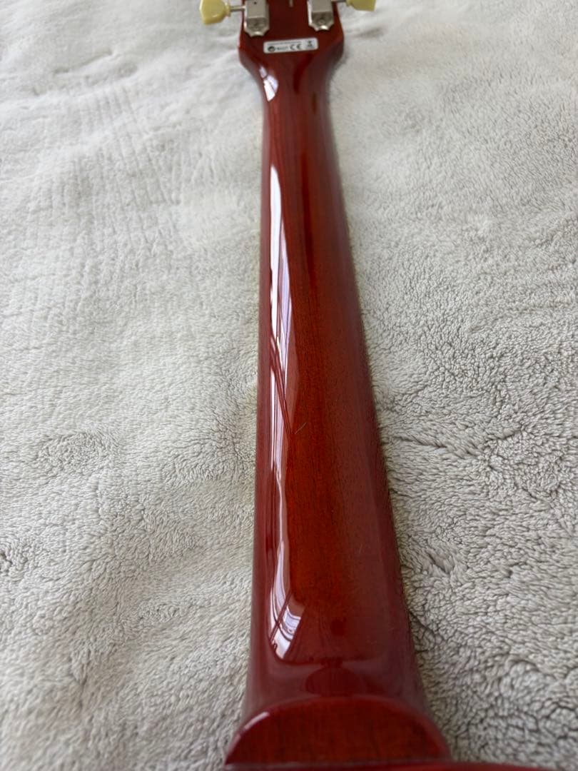 サーモンキング　フジゲン　ネオクラシック　ギブソンピックアップ