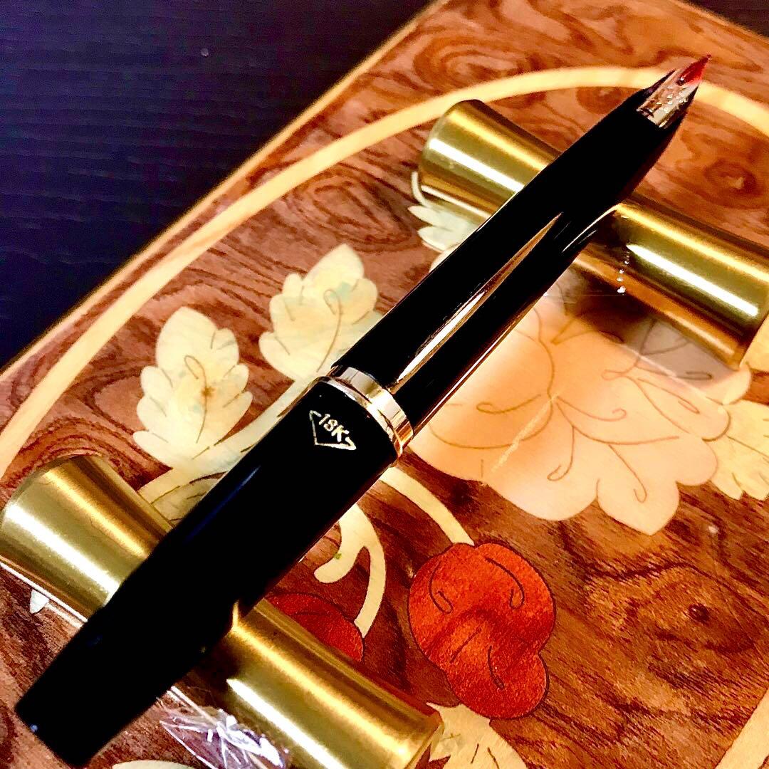 ☆超お勧め☆美しいパイロットエリート万年筆（M)18K