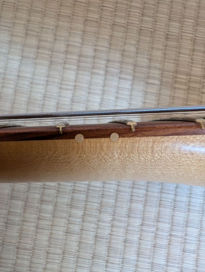 ギター Fender Player Plus Stratocaster HSS