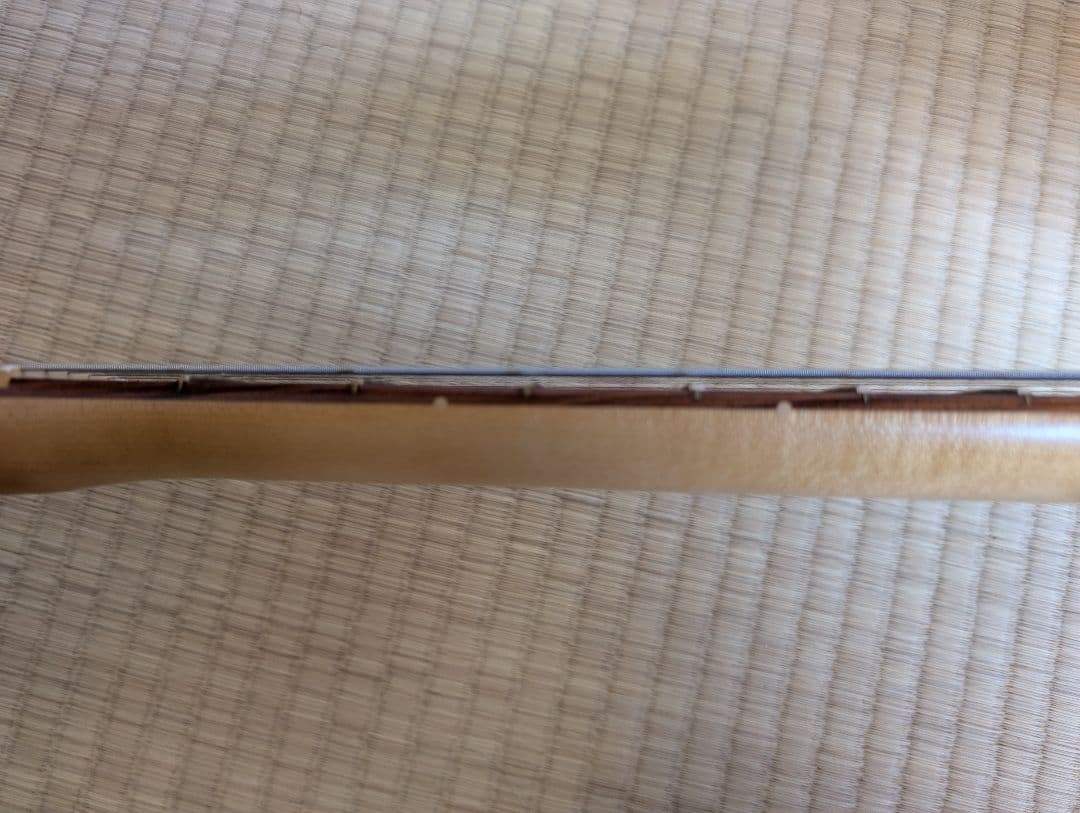 ギター Fender Player Plus Stratocaster HSS