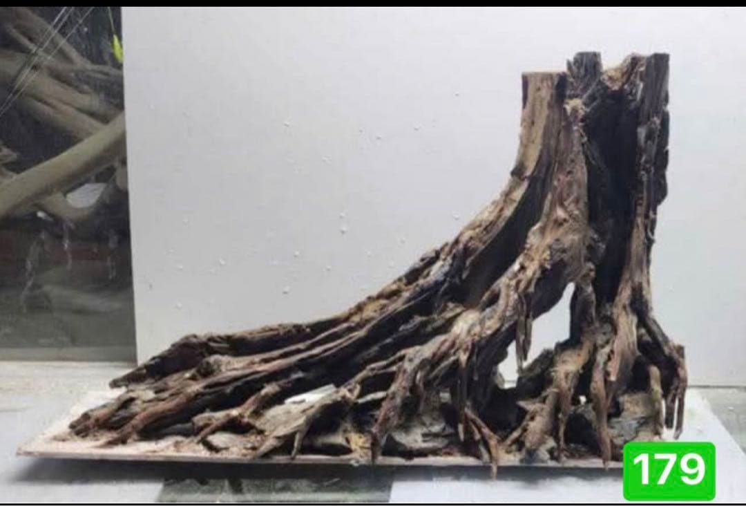 ブランチウッド　．水草用の 流木。流木アクアリウム　. パルダリウム　盆栽流木