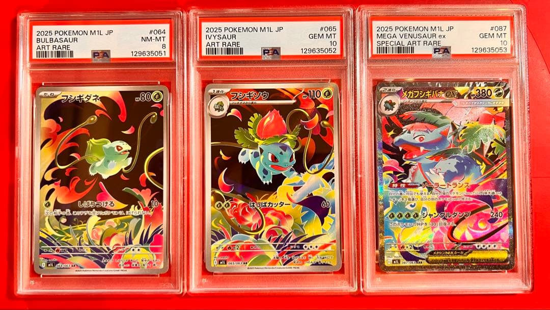 PSA10-8 連番 メガフシギバナex SAR フシギソウ フシギダネ セット