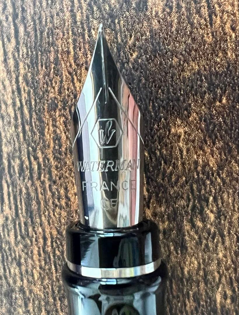 新品未使用 WATERMAN 青 ストライプ 万年筆