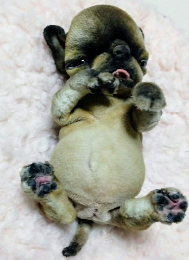 国内作家　アートドール　ぬいぐるみ　テディベア　アーティストベア　チワワ