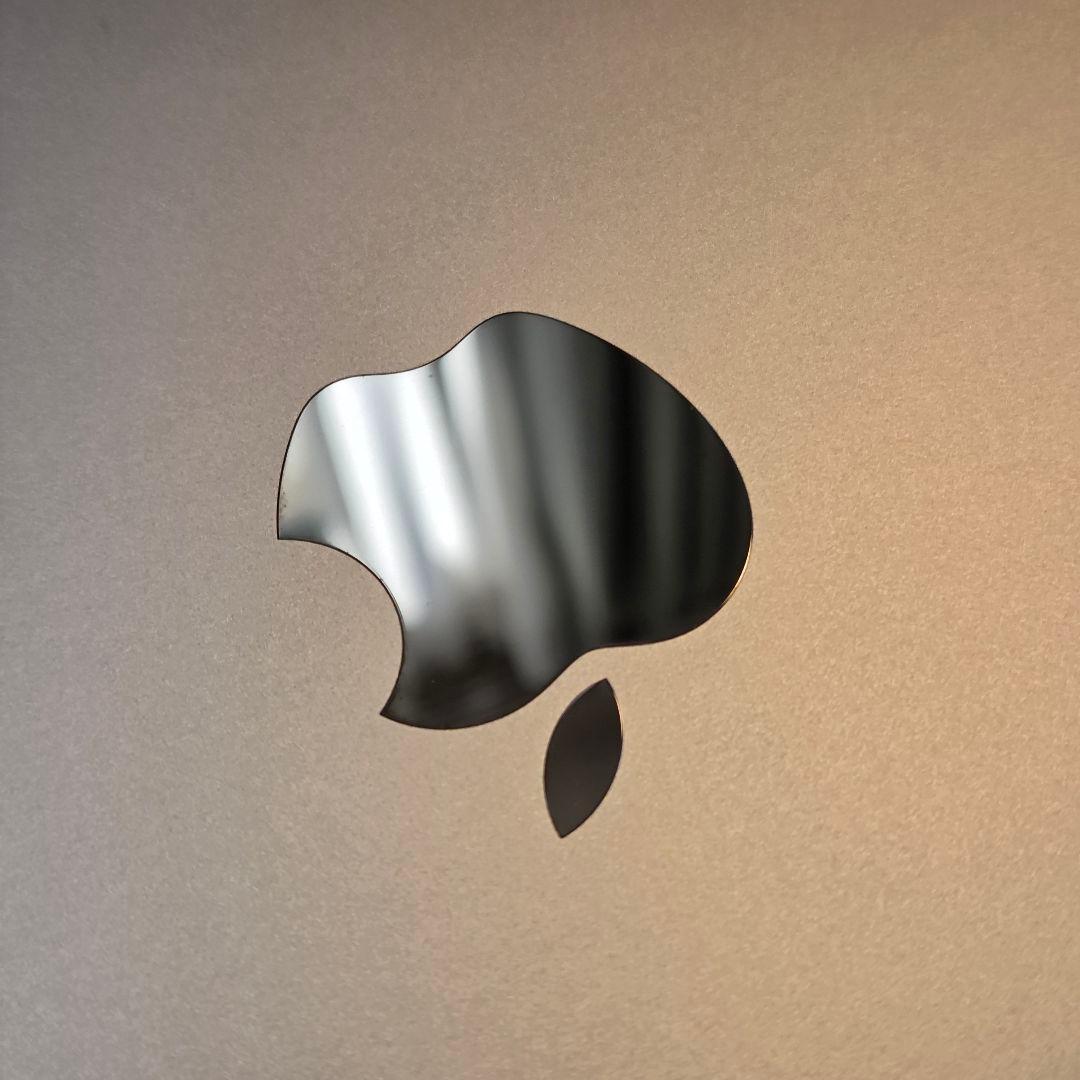 【訳あり】MacBook Pro M1 16GB/256GB スペースグ