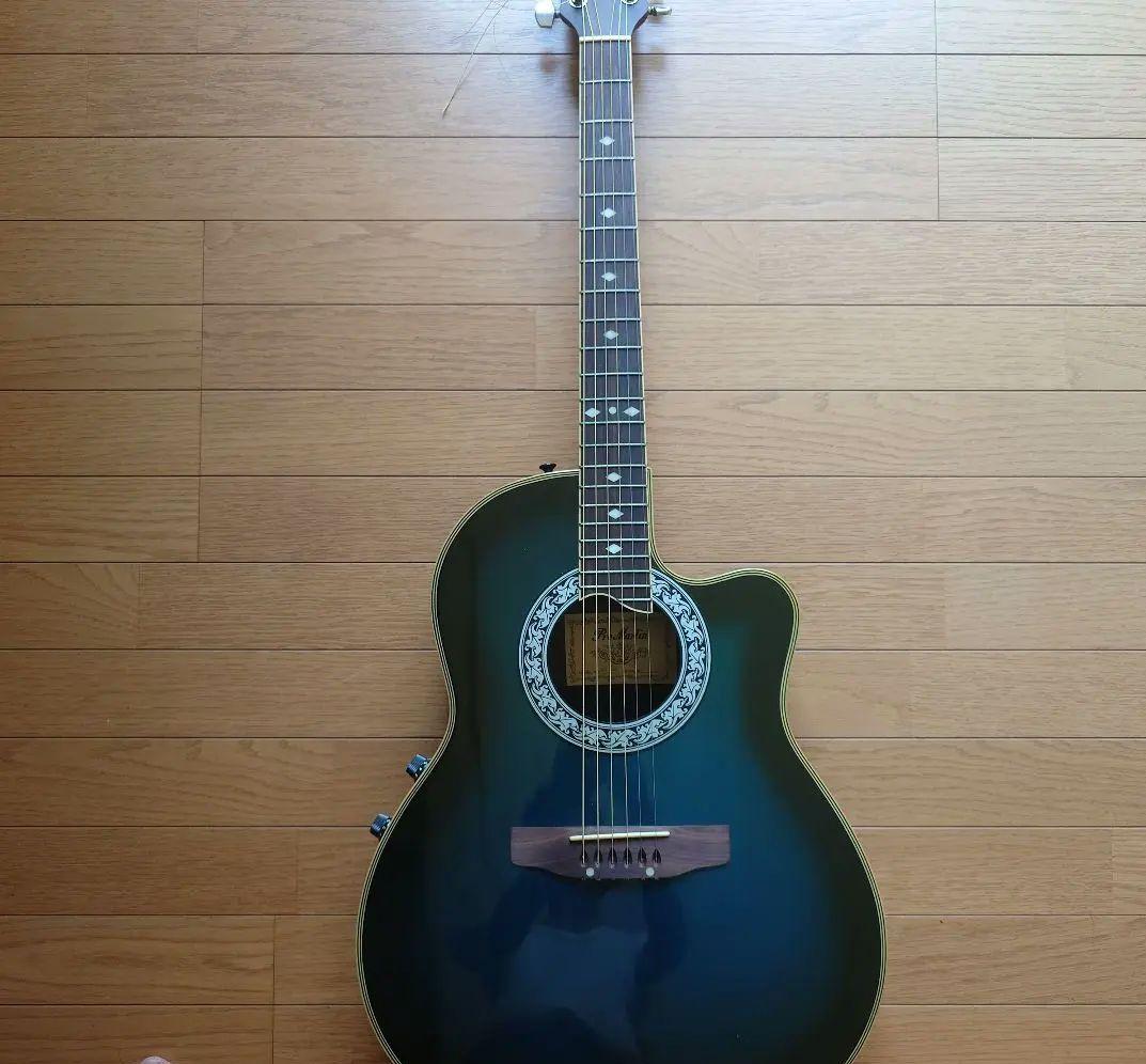 エレアコースティックギター プロマーチン