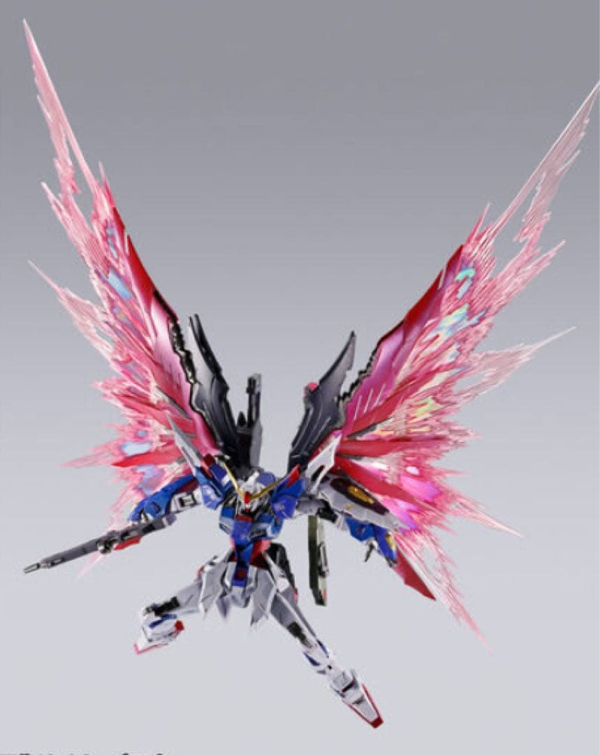 デスティニーガンダム（フルパッケージ）+ストライクフリーダムガンダム　2体セット