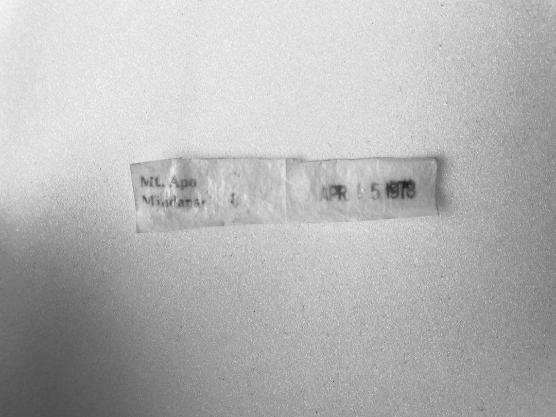 アポタイマイ（1オス、フィリピン産）