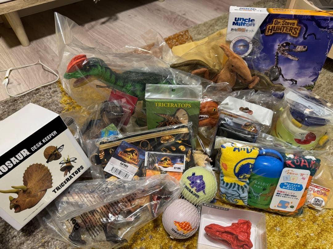 福井県立恐竜博物館　10,000円福袋
