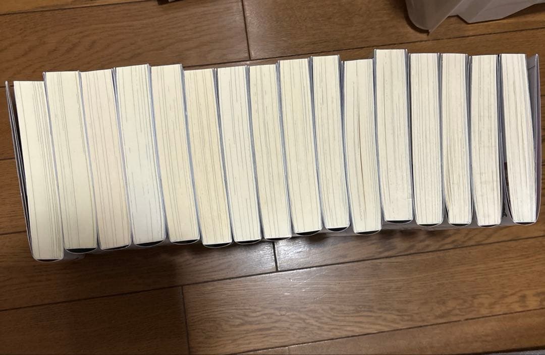 穏やか貴族の休暇のすすめ。 小説 1-16巻