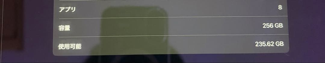 【充電91回/100%】iPad Air M2 13インチ256GB Wifi