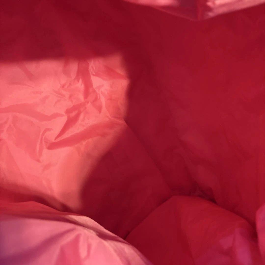 LeSportsac. バンビ柄　ボストンバッグ 約縦37x横50xマチ23