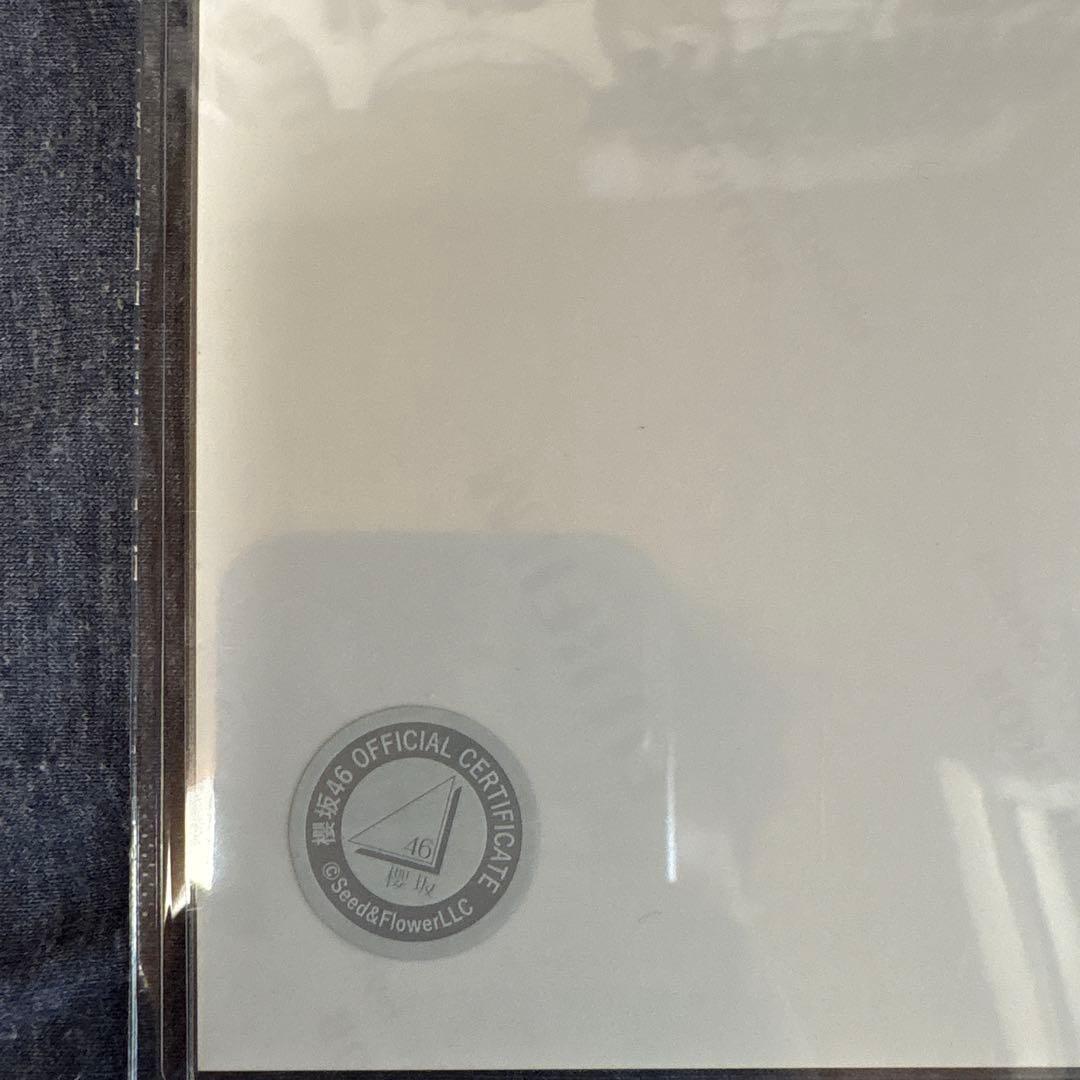 櫻坂46守屋麗奈　4thアニラサンタ衣装　直筆生写真　最終値下げ