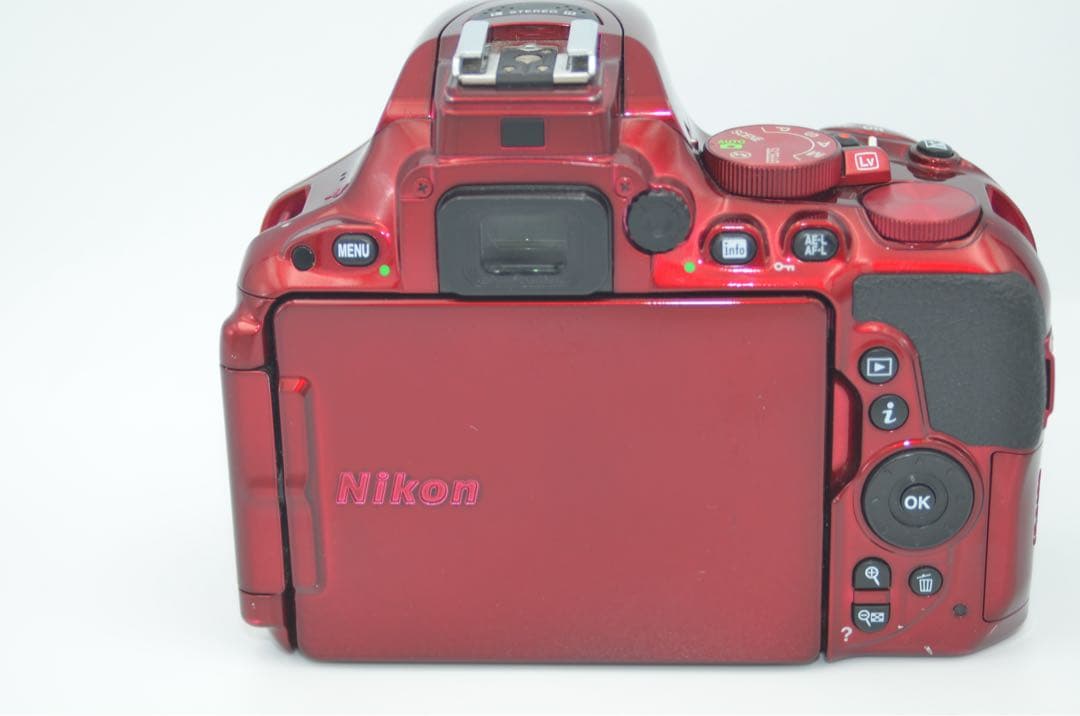 Nikon D5500 レンズセット Wi-Fi機能付き
