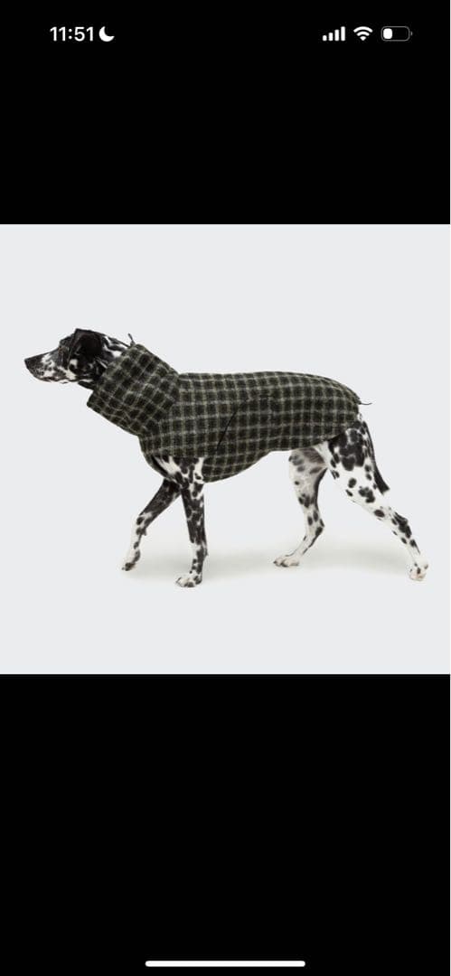 Cloud7 クラウド グラスゴー グリーンチェック SIZE3