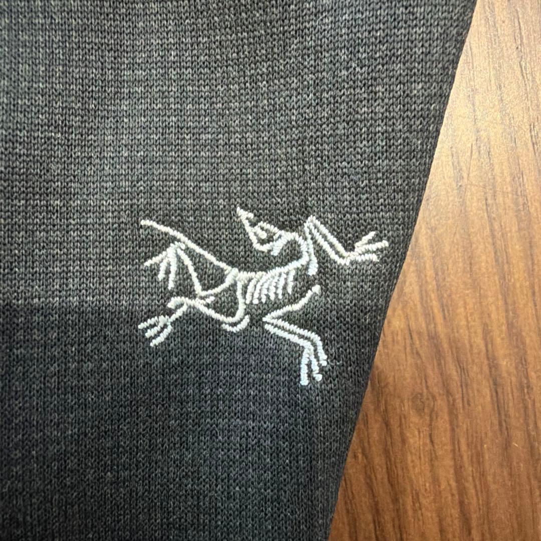 ARC'TERYX RIVET GLOVE ブラック 手袋　サイズM 廃盤品