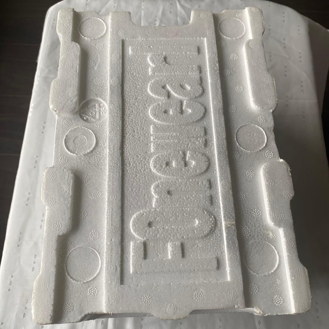 PSO ファンタシースターオンライン フォニュエール フィギュア コールドキャス