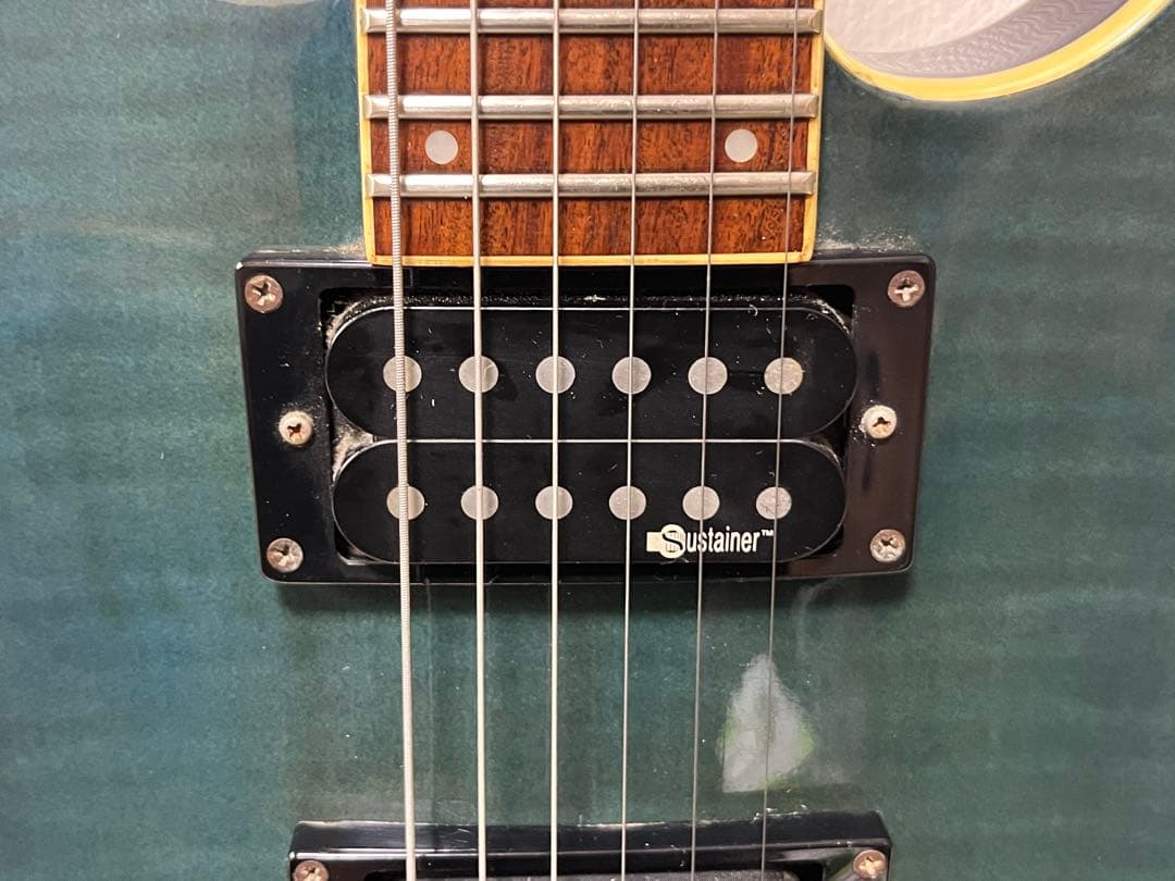 Fernandes フェルナンデス APG-55S サスティナー エレキギター