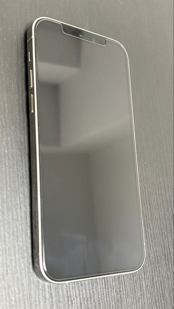 【おまけ有】 Apple iPhone 12 Pro 256GB シルバー 本体