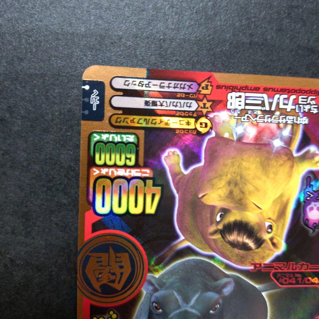 【超希少】ちょいワルカバ二郎／ちょいツヨカバ三郎アニマルカイザー銅キラ