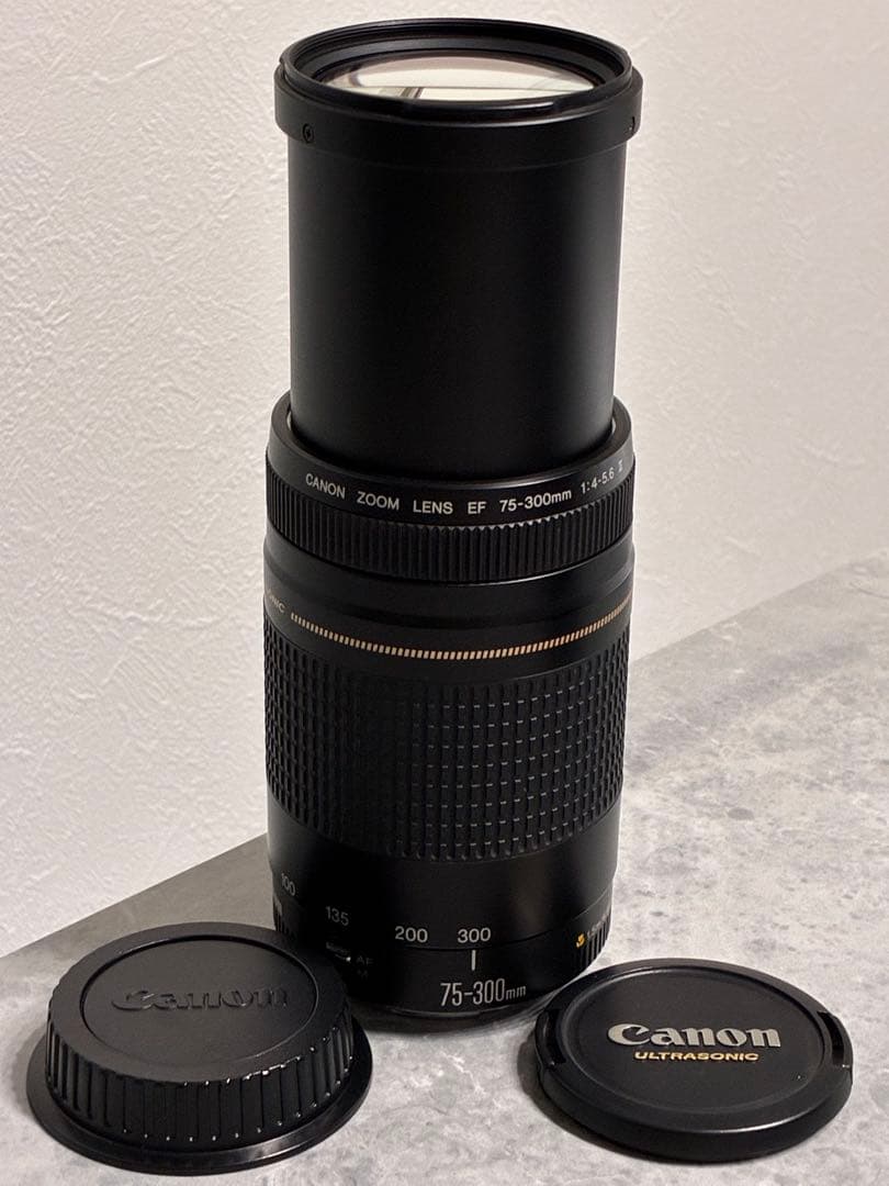 ⭐️美品⭐️Canon EF75-300mm F4-5.6 II USM 望遠レンズ