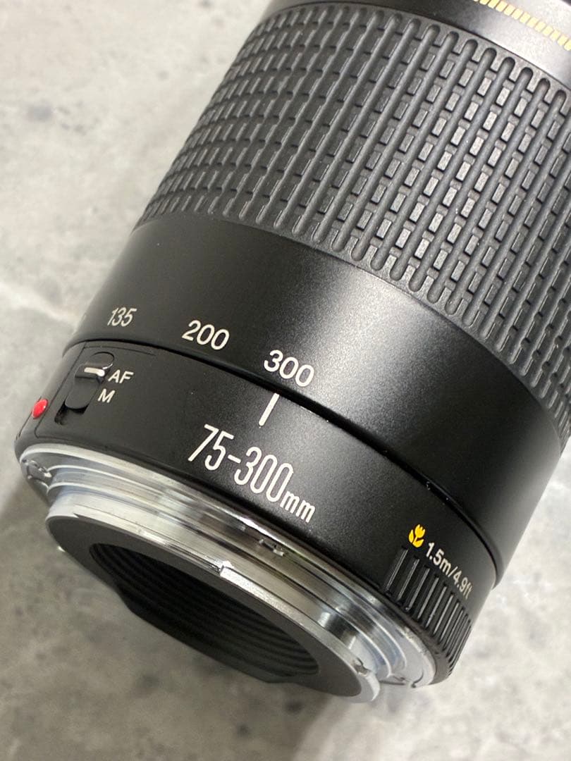 ⭐️美品⭐️Canon EF75-300mm F4-5.6 II USM 望遠レンズ