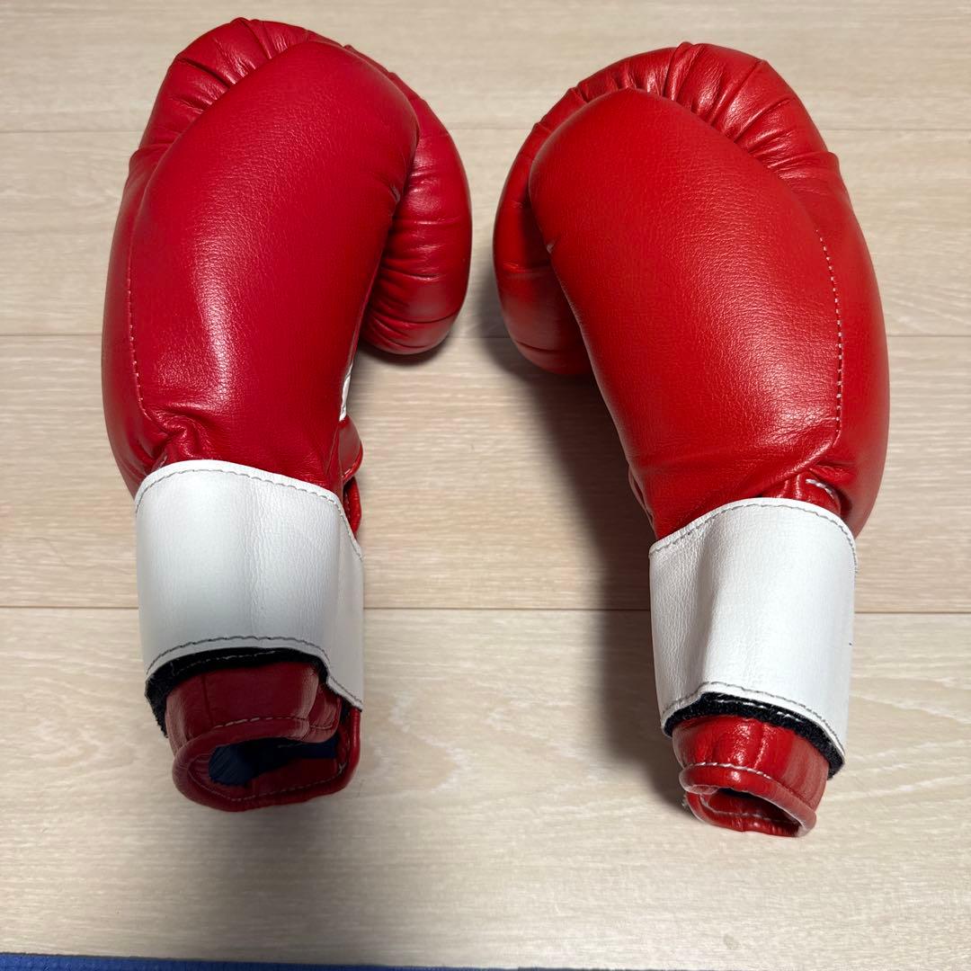 Winning ボクシンググローブ 10 oz レッド