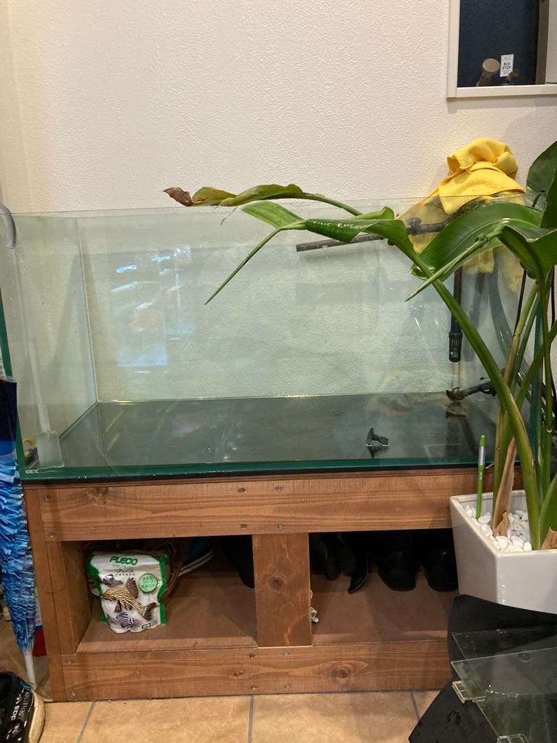 90cmガラス水槽 gex ※オーダー水槽台、その他備品付 90×45×45