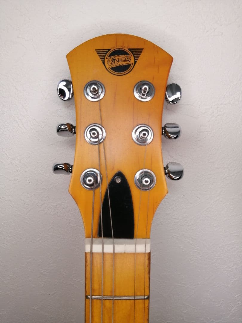 最終値下げソフトケース付き【良品】Pignose ピグノーズ PGG-200