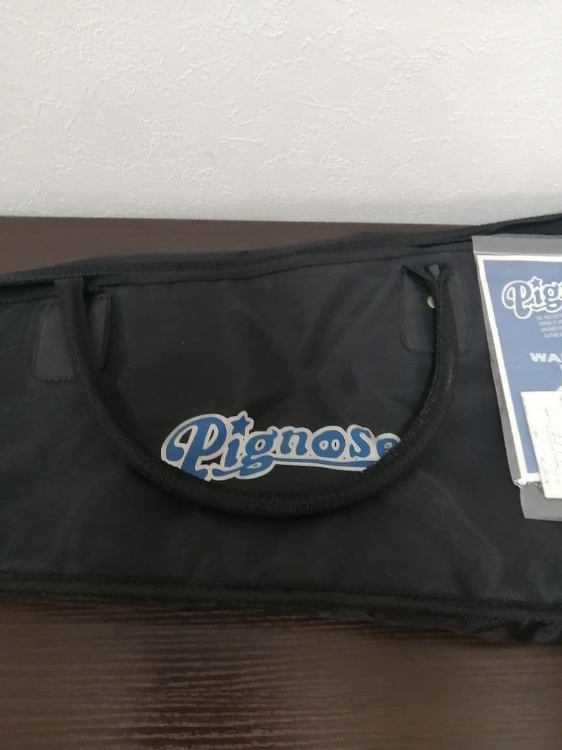 最終値下げソフトケース付き【良品】Pignose ピグノーズ PGG-200