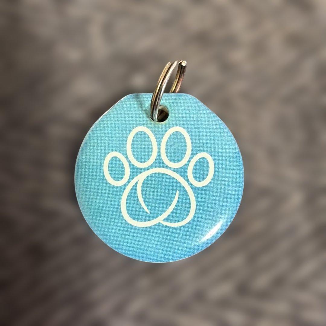 SureFeedマイクロチップ自動開閉フィーダー　猫・超小型犬用