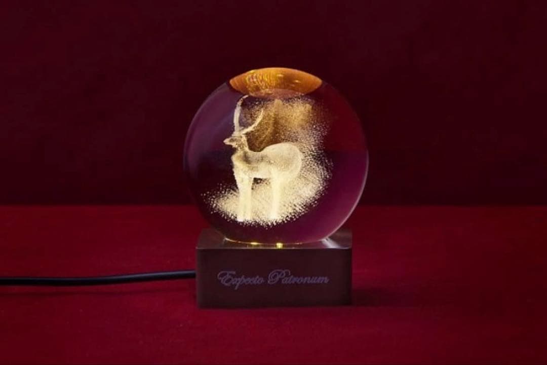 タリーズ コラボ ハリーポッターSET