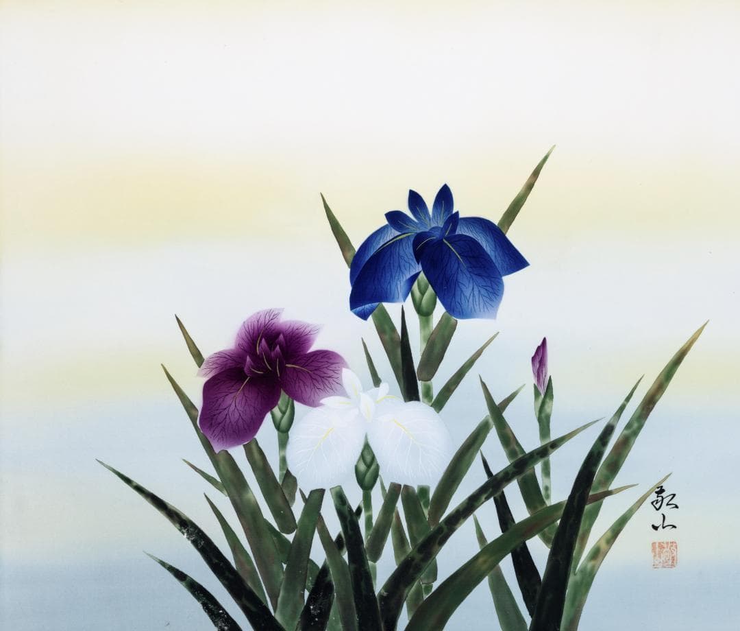 F10 肉筆水彩日本画 『菖蒲』 高級木製額縁付属 外寸約713×638mm