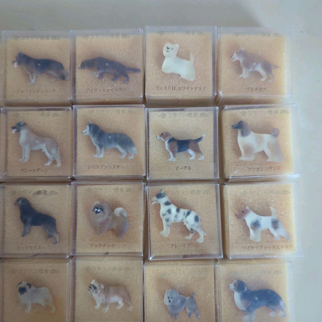 コラソン商会　犬シリーズ　犬　バッジ　犬ピンバッジ　まとめ売り　30個