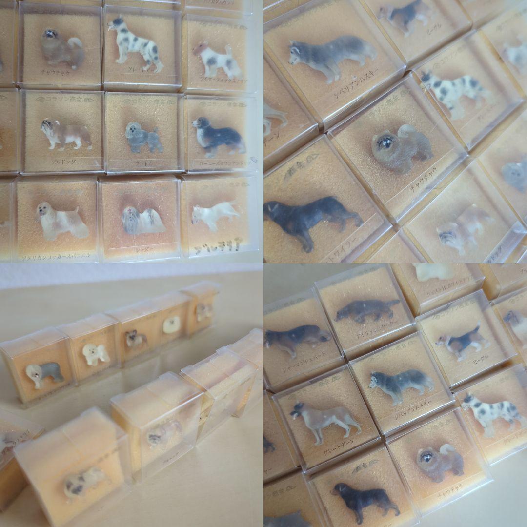 コラソン商会　犬シリーズ　犬　バッジ　犬ピンバッジ　まとめ売り　30個