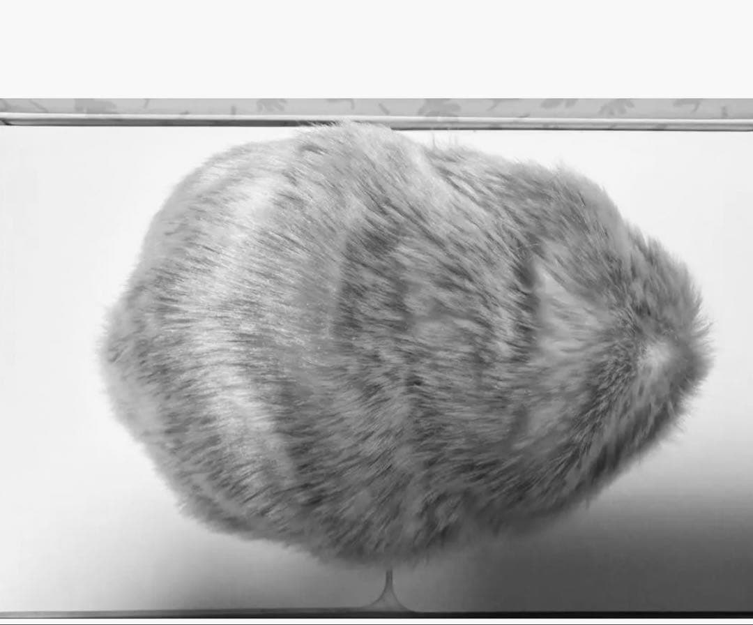 RKになります。モフリン シルバー