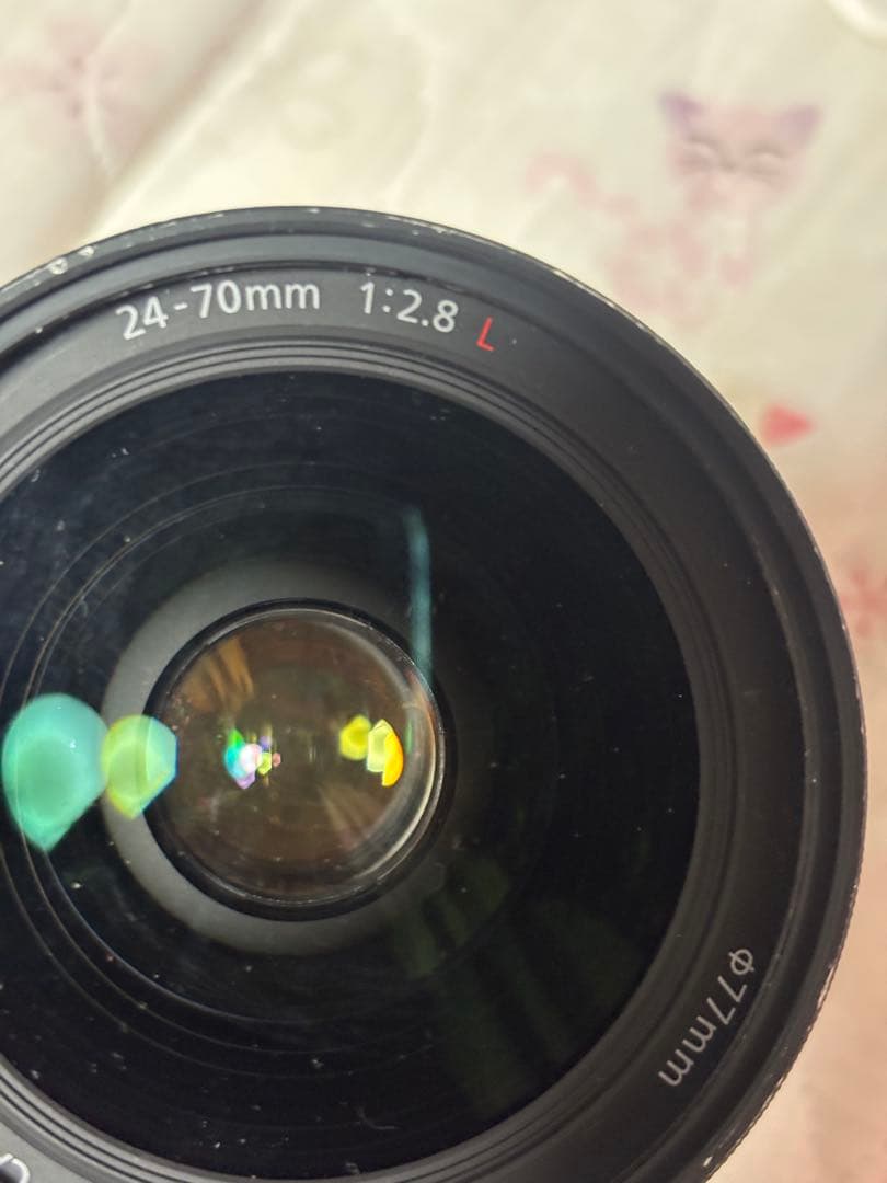 Canon EF 24-70mm f/2.8 L USM レンズ