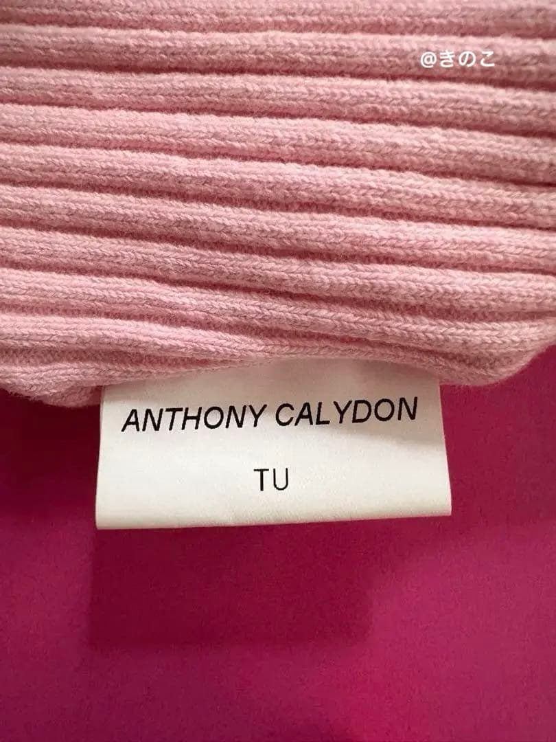 希少 【ANTHONY CALYDON】TUピンクニット帽