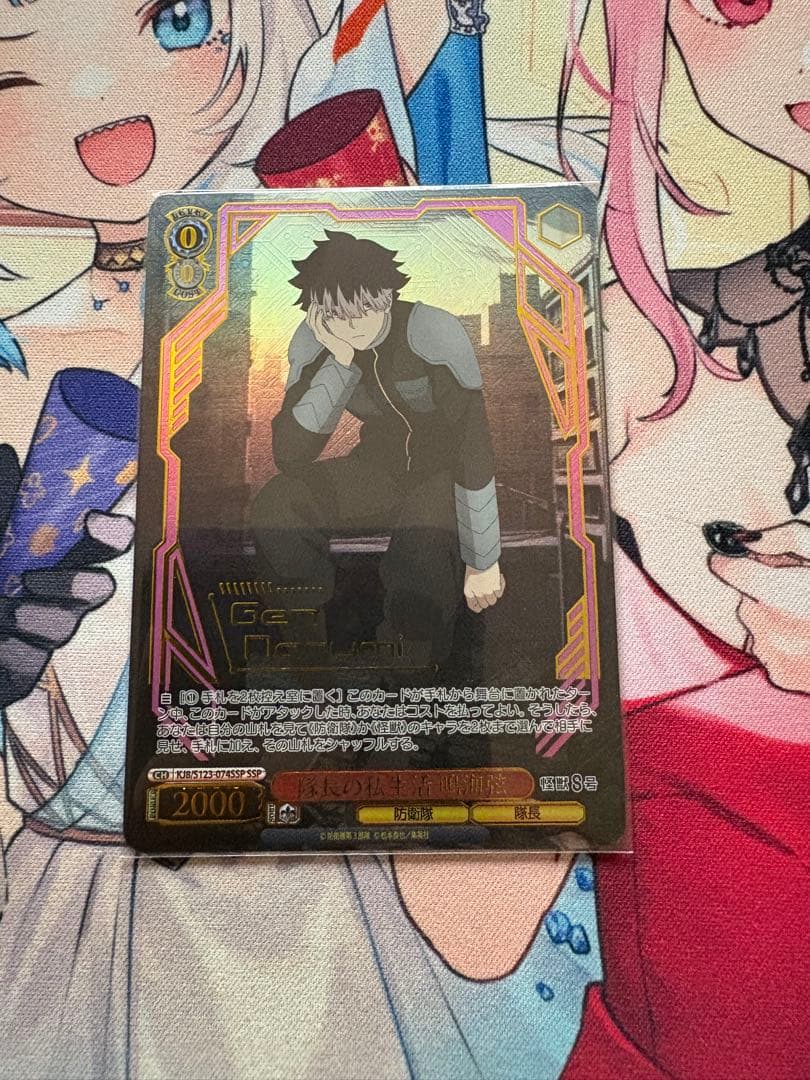 ヴァイスシュヴァルツ　怪獣8号 隊長の私生活 鳴海弦 SSP