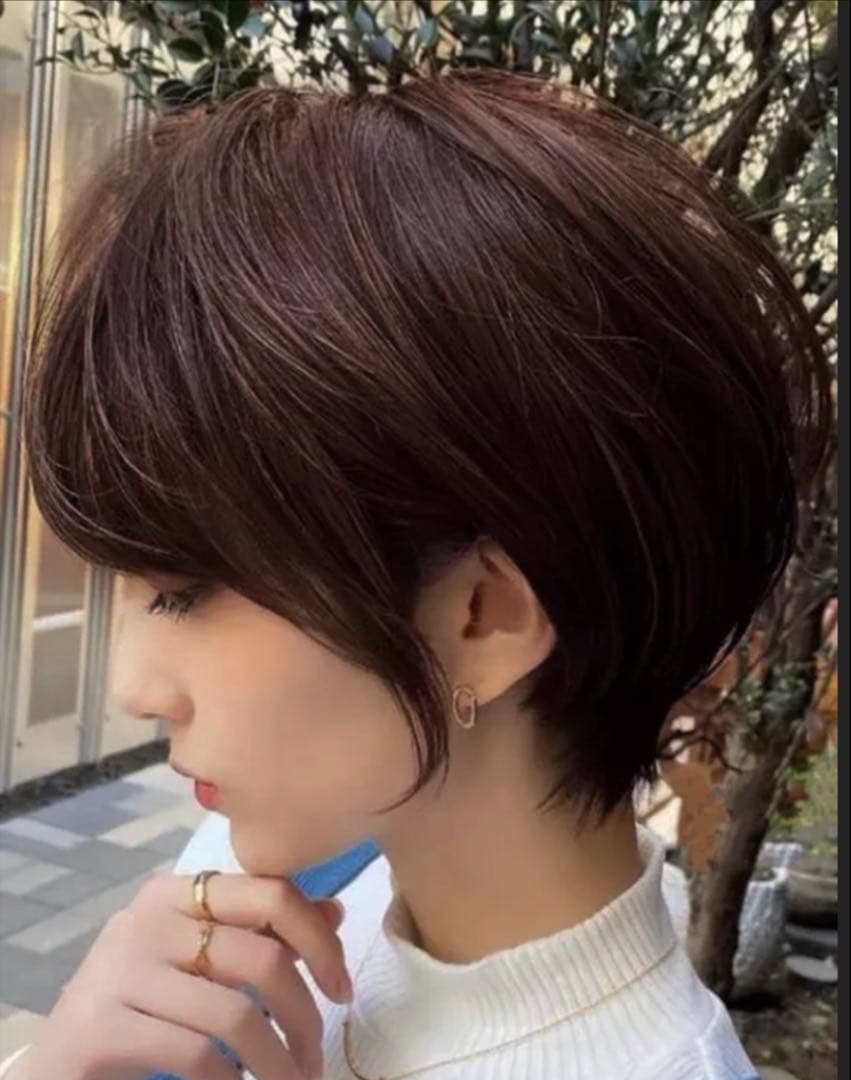 ☆気品人毛100% ショートwig ウィッグBZ20